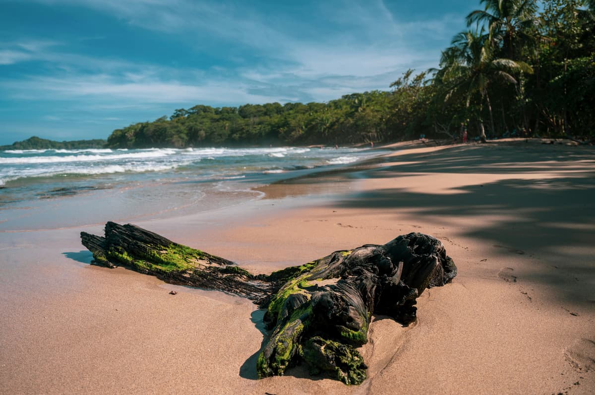 Hiring in Costa Rica: Minimum Wage and Employment Guide