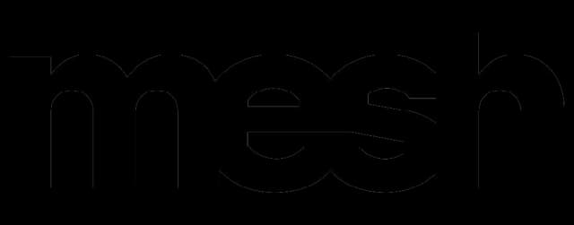 Mesh image