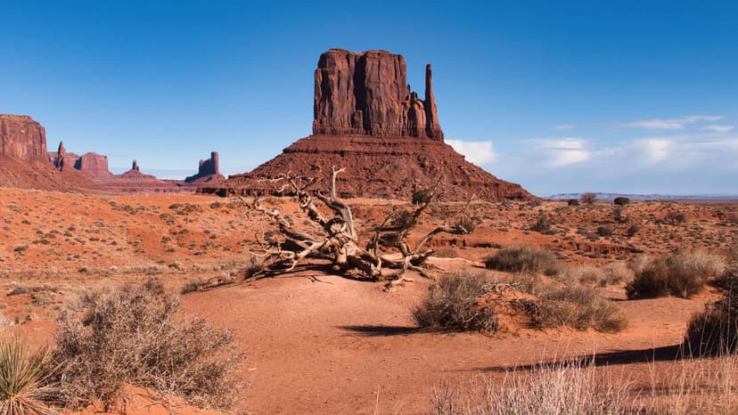 Hiring in Arizona: Minimum Wage and Employment Guide