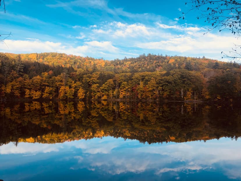 Hiring in Vermont: Minimum Wage and Employment Guide